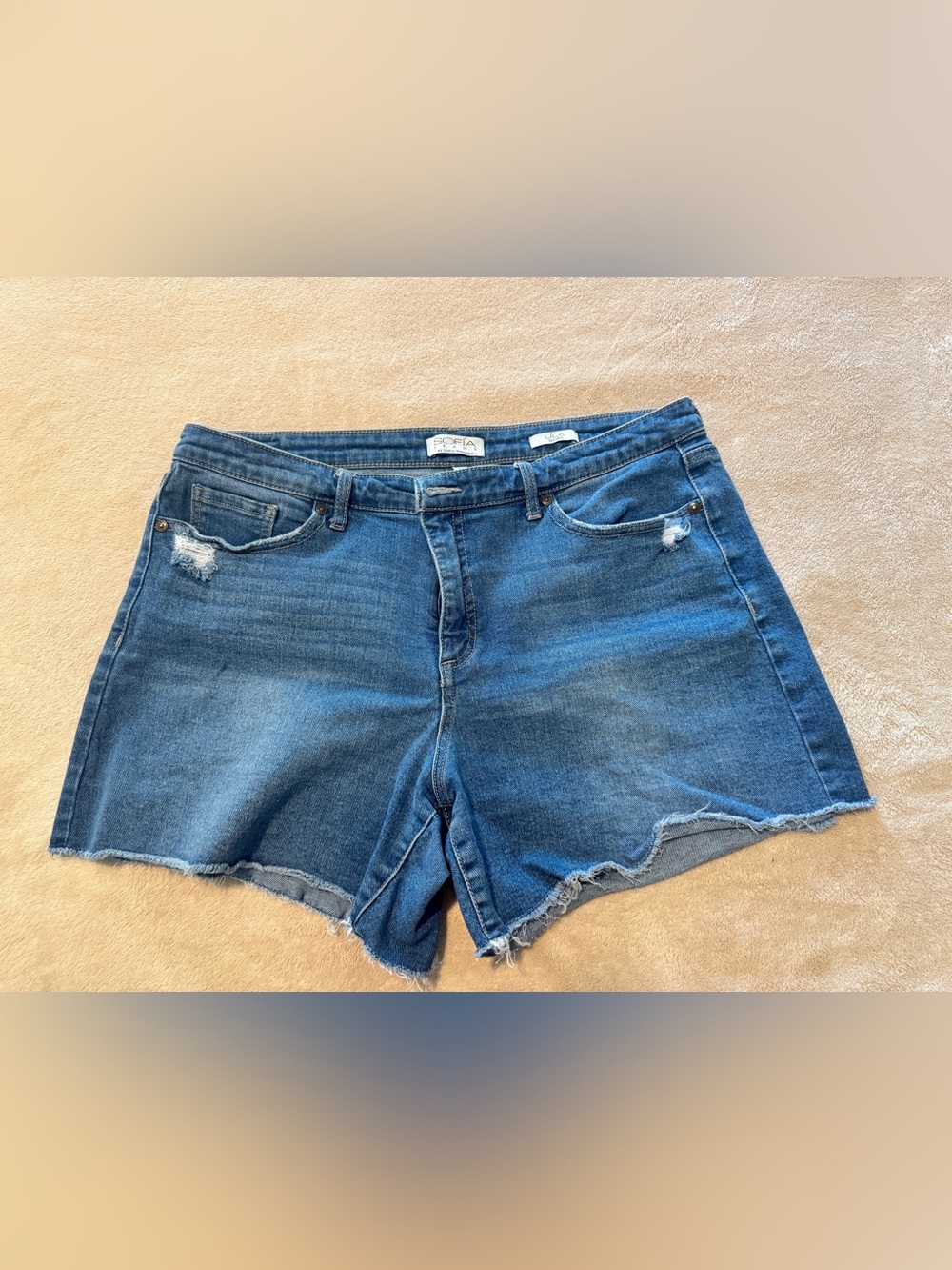 Sofia Vergara High-Rise Frayed Hem Denim Shorts - Blue